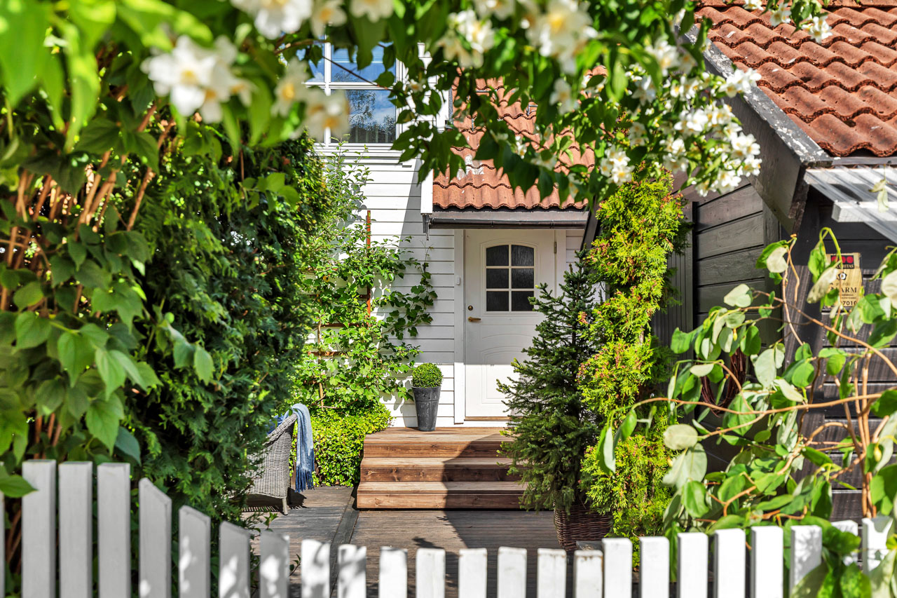 Hvitt hus med tretrapp og frodig hage i sommersol