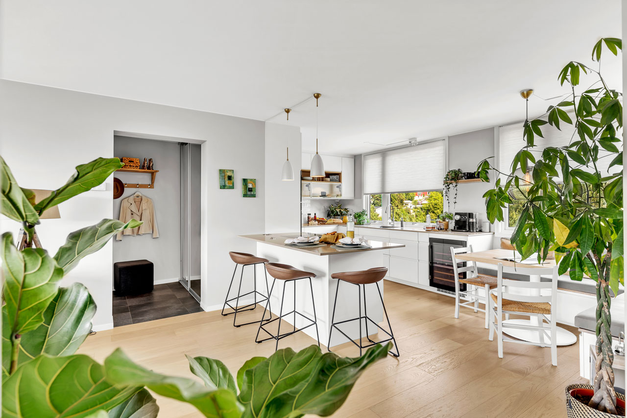 Kjøkken med øy, barstoler og grønne planter i morgenlys