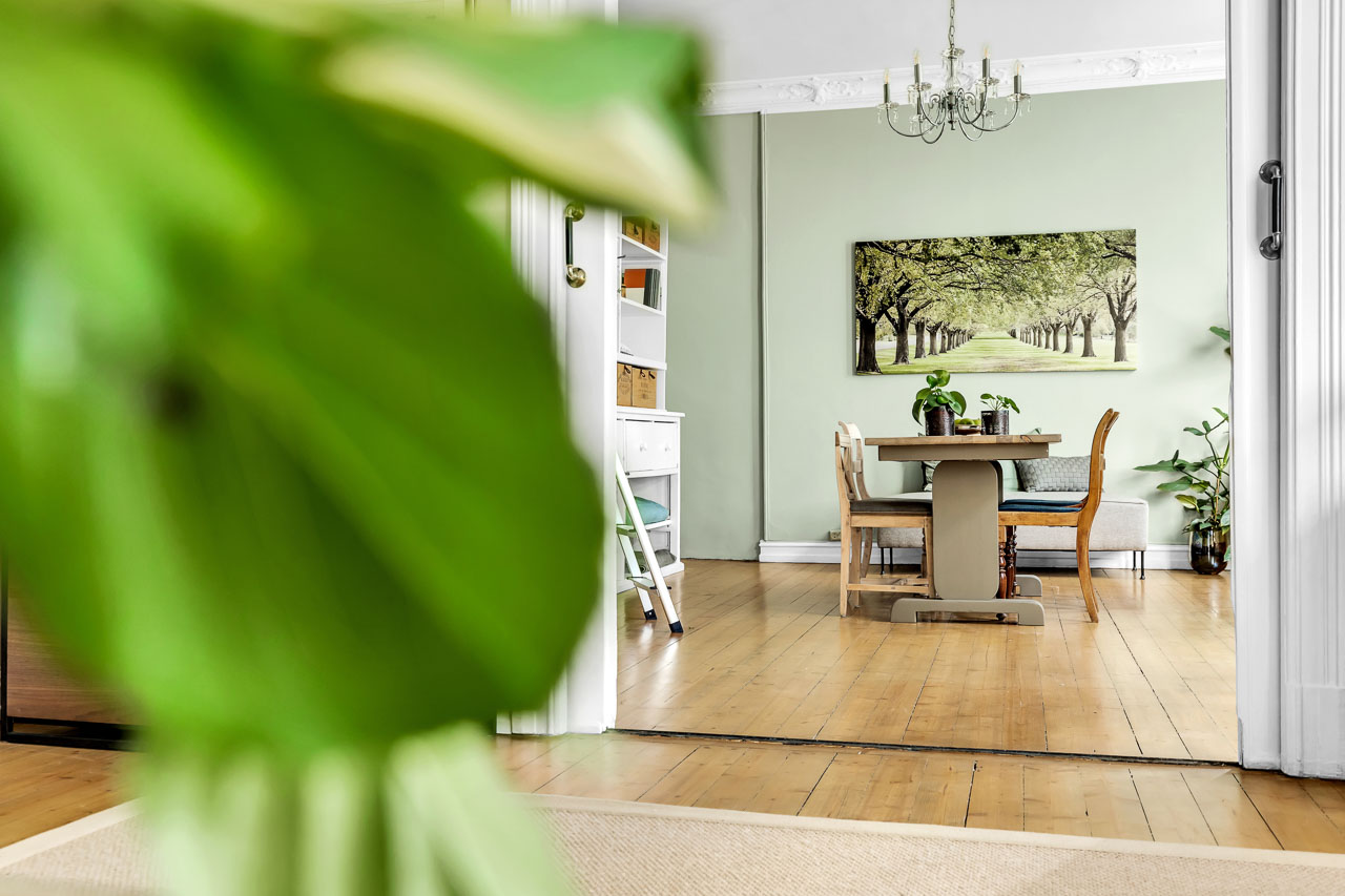 Stue med spisebord, kunst og grønn plante i forgrunnen