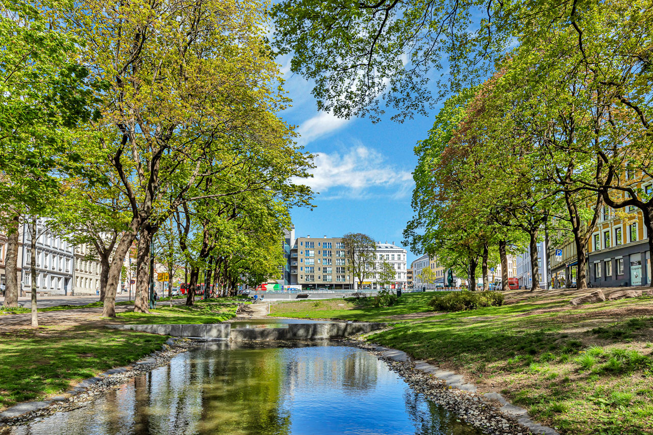 Park med gamle trær og dam foran bygårder i Oslo